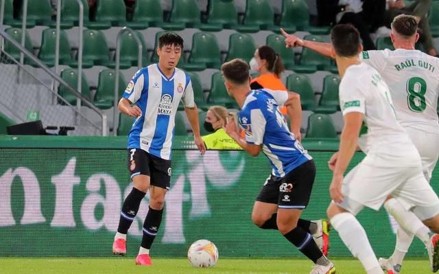 久久99精品久久久久久野外