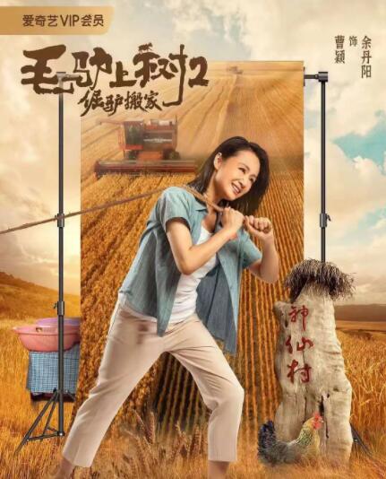 篮球鞋踩几把