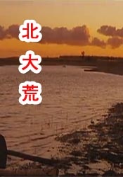 天天色淫