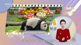 颐和园 在线观看